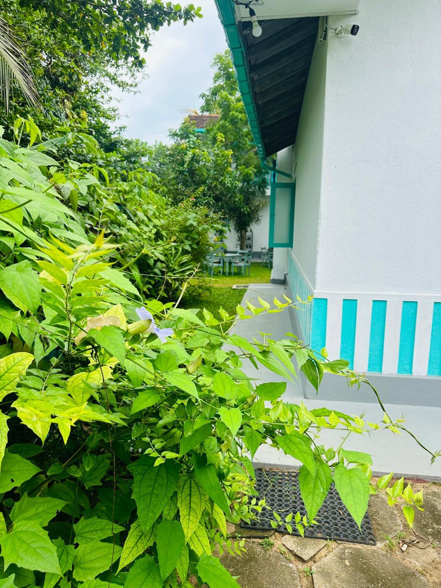 Villa 47 Хіккадува Екстер'єр фото